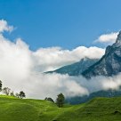 Low clouds