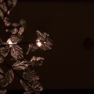 Crystalluminescence