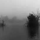 dreary morning
