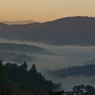 Early morning 3