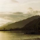 Sepia Moorea, French Polynesia