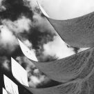 vanes