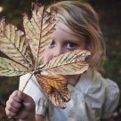 Leaf