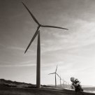 Dust in the Wind