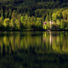 reflection