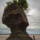 Life Size