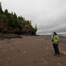 Hopewell Rocks