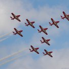 Snowbirds in Condor Flight Formation