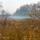 Late autumn