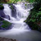Stream
