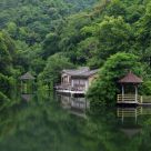 Tranquility