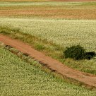 A road