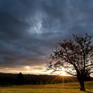 Evening Sunburst