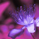 Beauty in -VE