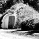 Growing House