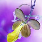 Beauty in Negative