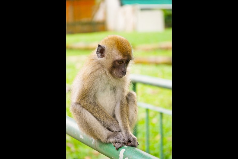 lonely thinker