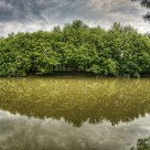 Reflection
