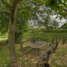 Resting in the vineyard