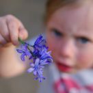 31/1.8 bokeh portrait