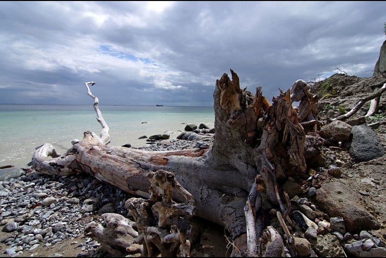 An der Kueste / On the coast