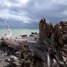 An der Kueste / On the coast