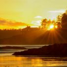Golden Sunset