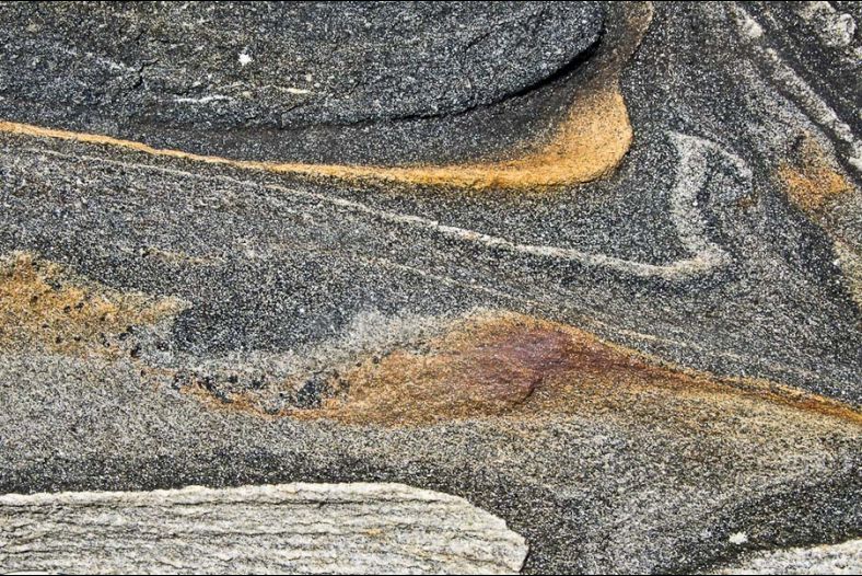 Nature's Waves