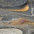 Nature's Waves