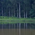 Silent