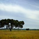 The Alentejo