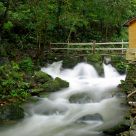 Stream