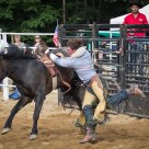Rodeo Action