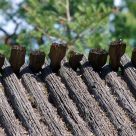Old wooden roof