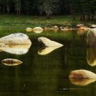Rocks Reflections In A Pool Of Water