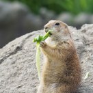 Having a snack