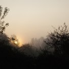 Primeros rayos