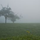 autumn impressions 9