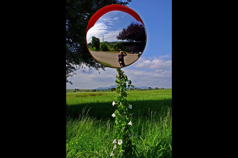 Self-portrait on a flowery mirror on a green landscape