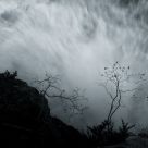 The burst of Life