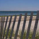 The other side of the fence