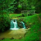 Green&Zen