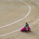 Torero