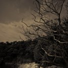 October Rust