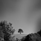 On Lessinia plateau #04