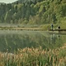 Morning fishing