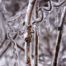 Frozen in Time