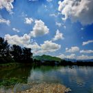 The Fish Pond