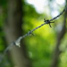 Barbed-wire