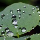 Gotas, gotas, gotas...